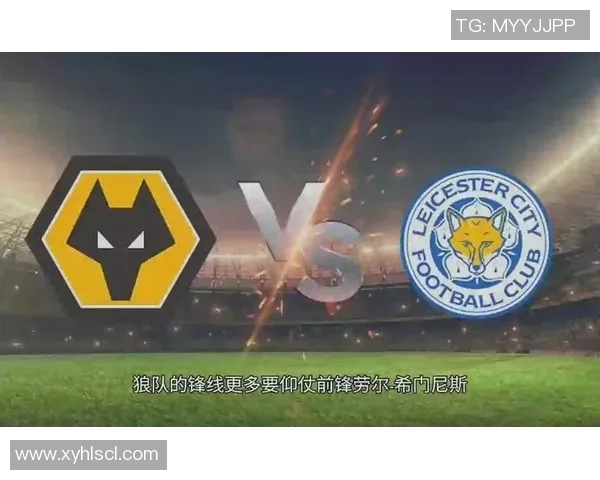 狼队与布拉迪对决前瞻分析及比赛结果预测全解析