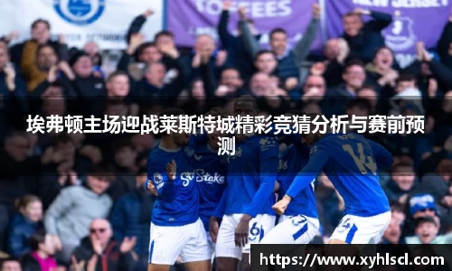 埃弗顿主场迎战莱斯特城精彩竞猜分析与赛前预测