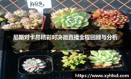 尼斯对卡昂精彩对决微直播全程回顾与分析